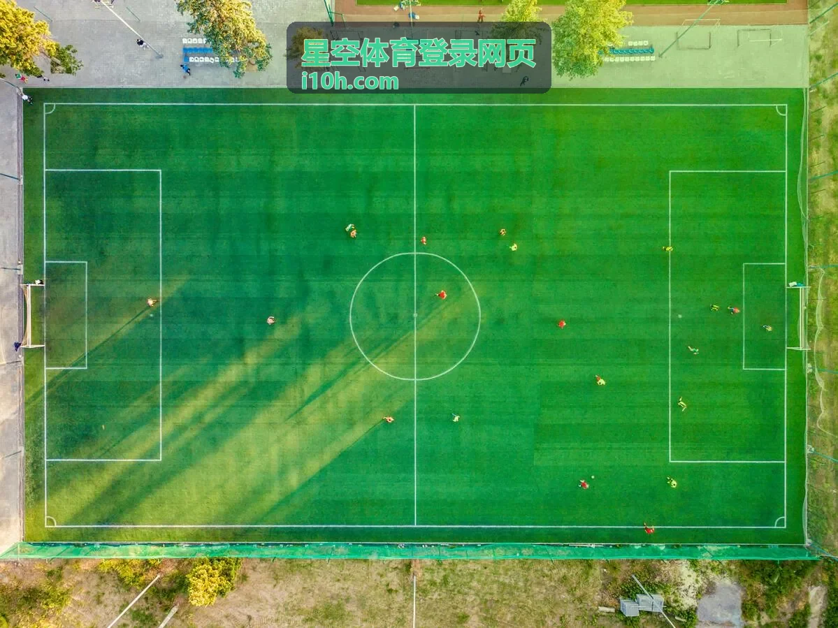 星空体育登录网页账号密码校验环节的操作示意图