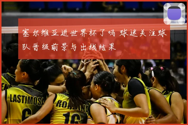 塞尔维亚进世界杯了吗 球迷关注球队晋级前景与出线结果