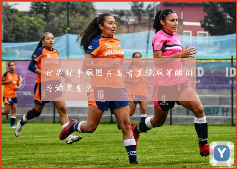 世界杯夺冠图片高清呈现冠军瞬间与颁奖看点