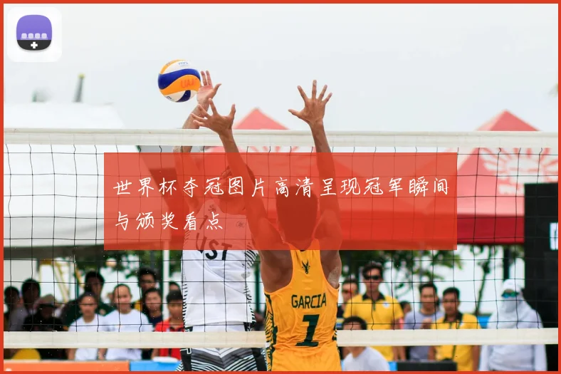 世界杯夺冠图片高清呈现冠军瞬间与颁奖看点
