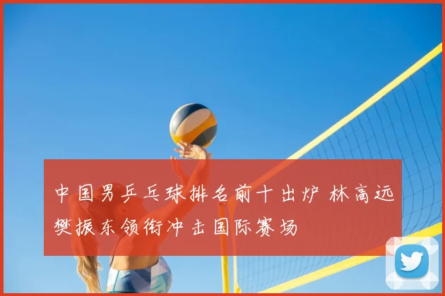 中国男乒乓球排名前十出炉 林高远樊振东领衔冲击国际赛场